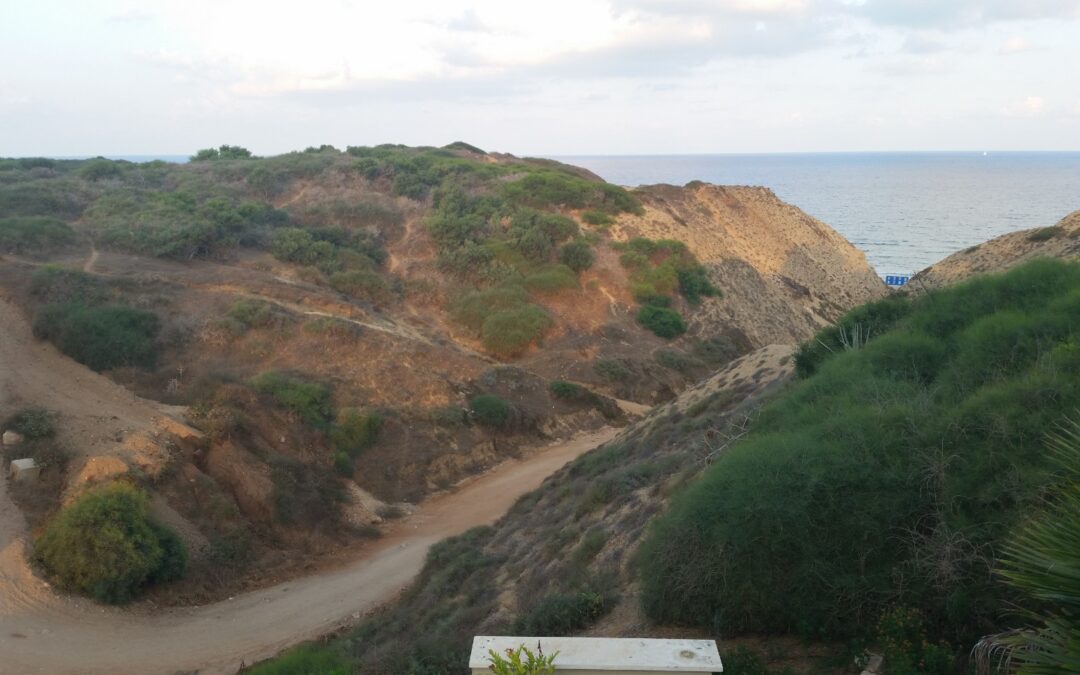 חוף געש